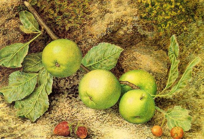 Hill, John William Still Life with Fruit and Fly oil painting image